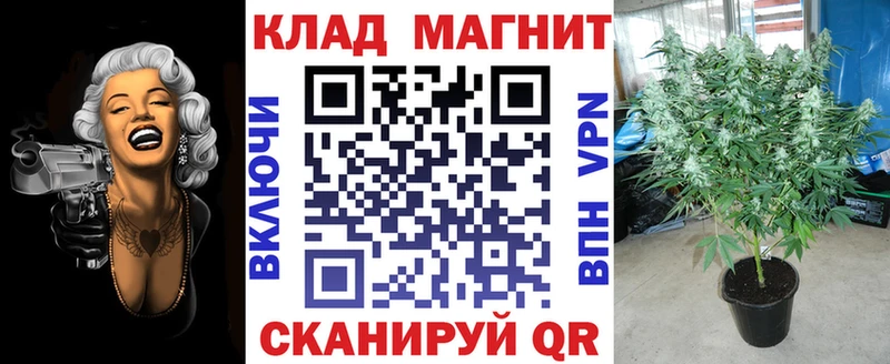 Цена Гусиноозёрск Галлюциногенные грибы  Бошки Шишки  Меф мяу мяу  Гашиш  СОЛЬ 