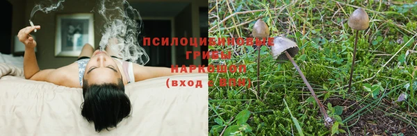 спиды Уссурийск