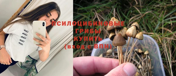 шишки Новочеркасск
