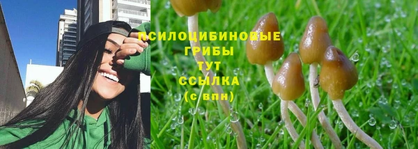 шишки Новочеркасск